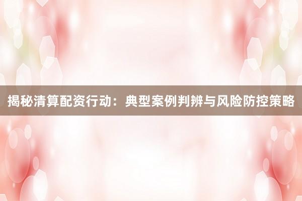 揭秘清算配资行动：典型案例判辨与风险防控策略