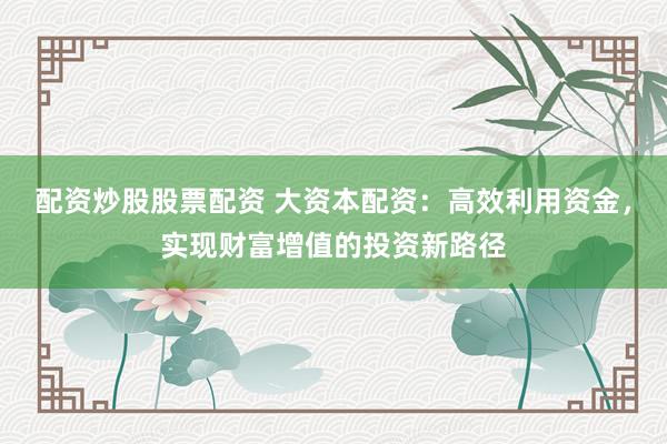 配资炒股股票配资 大资本配资：高效利用资金，实现财富增值的投资新路径