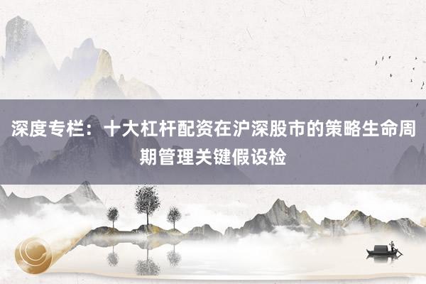 深度专栏:十大杠杆配资在沪深股市的策略生命周期管理关键假设检
